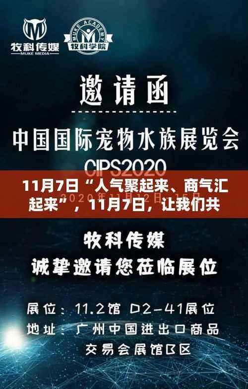 11月7日,开启自信与成就的新篇章,人气商气汇聚日
