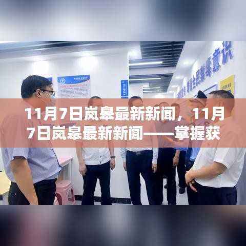 掌握获取新闻与完成任务技能的全面指南,岚皋县最新新闻报道