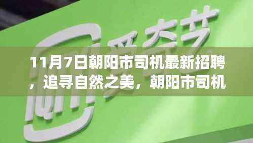 朝阳市最新司机招聘启事,共赴自然探索之旅,追寻自然之美的新岗位等你来挑战!