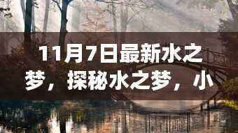 探秘水之梦,小巷中的独特水韵宝藏,全新魅力展现于11月7日
