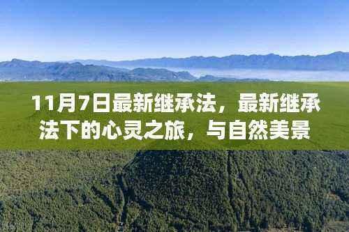 最新继承法下的心灵与自然美景之旅,继承与缘分的交织