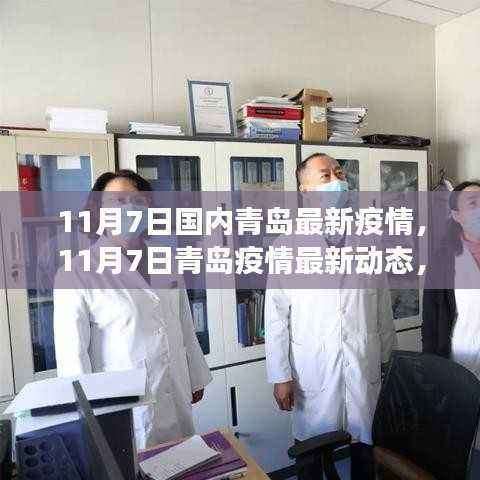 青岛疫情最新动态,防控进展与关键信息解读(截至11月7日)