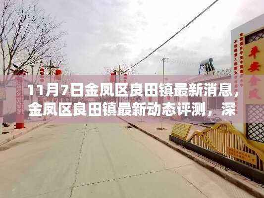 金凤区良田镇最新动态评测及深度剖析,产品特性与用户体验观察