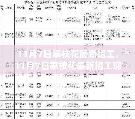 透视攀枝花最新招工现象,利弊与个人选择分析