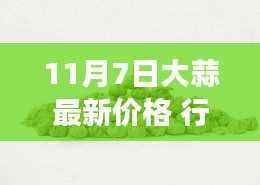 大蒜最新行情揭秘,价格背后的暖心故事与秘密