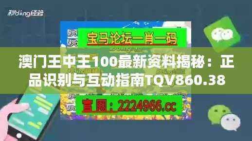 澳门王中王100最新资料揭秘:正品识别与互动指南TQV860.38