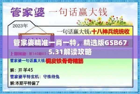 管家婆精准一肖一特，精选版GSB675.31解读攻略