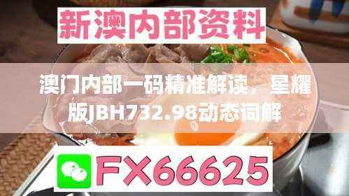 澳门内部一码精准解读,星耀版JBH732.98动态词解