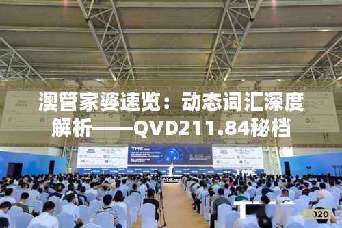 澳管家婆速览:动态词汇深度解析——QVD211.84秘档