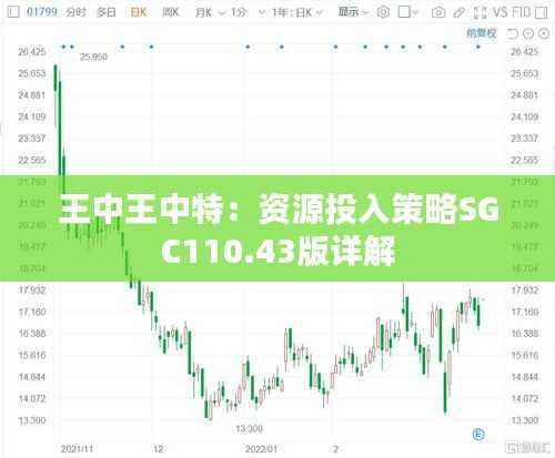 王中王中特：资源投入策略SGC110.43版详解