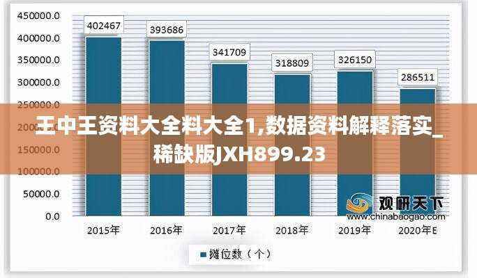 王中王资料大全料大全1,数据资料解释落实_稀缺版JXH899.23