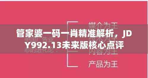 管家婆一码一肖精准解析，JDY992.13未来版核心点评
