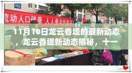 龙云香堤十一月最新动态揭秘，新时代风采展现