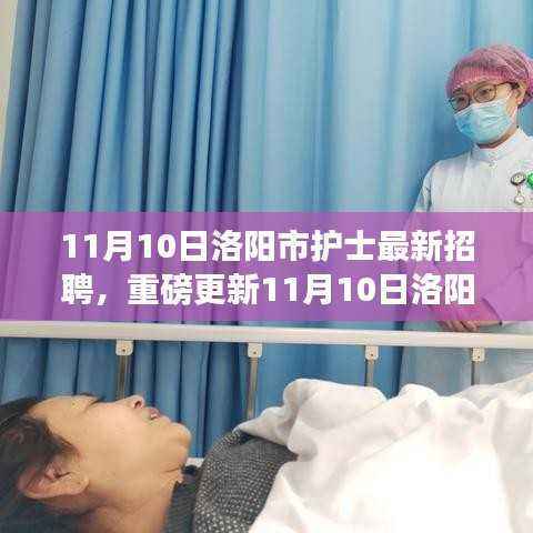 11月10日洛阳市护士全新招聘启事,护理梦想扬帆起航
