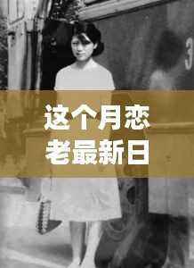 逐光而行,我的月恋老日记之旅