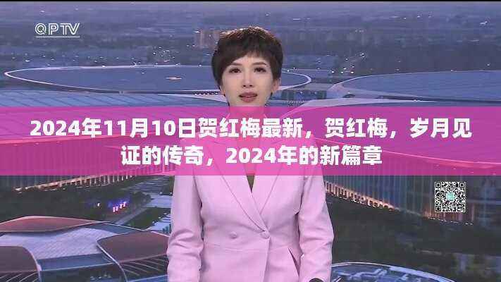 贺红梅,岁月传奇的新篇章,2024年11月10日最新动态