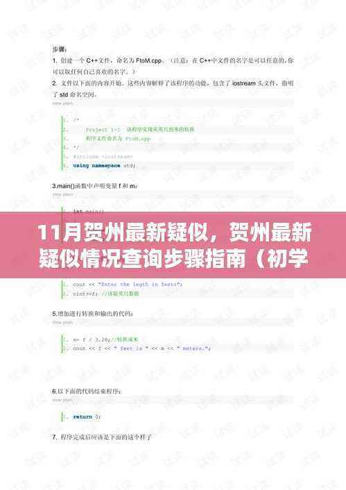 贺州最新疑似情况查询指南，初学者与进阶用户版步骤解析