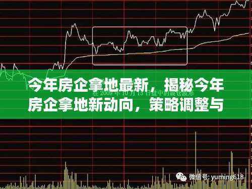今年房企拿地最新动向揭秘,策略调整与趋势洞察(小红书版)