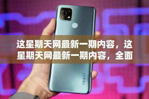 网评新一期内容,全面评测与深度解析