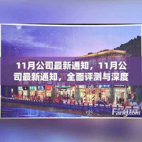 最新深度评测与全面介绍,公司十一月通知概览