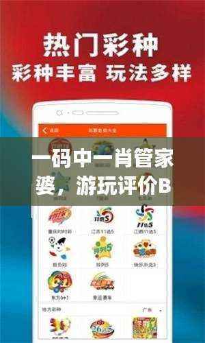 一码中一肖管家婆,游玩评价BIJ950.07