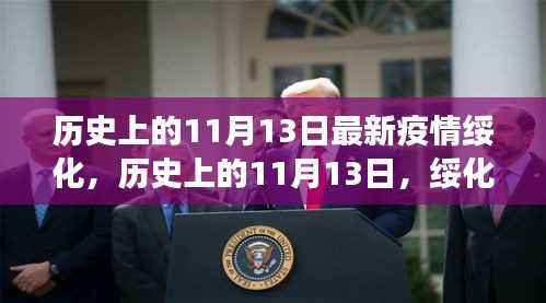 绥化疫情最新进展与历史上的影响洞察,疫情最新进展及影响分析报告(11月13日)