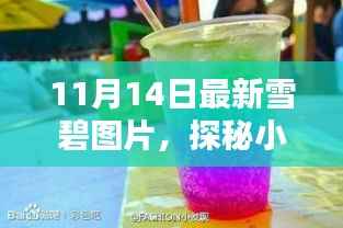 独家揭秘,小巷深处的雪碧乐园,最新图片分享(11月14日)
