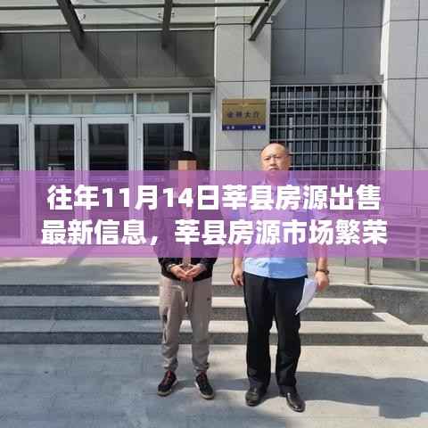 揭秘莘县房源市场繁荣背后的故事,往年11月14日最新房源出售信息汇总