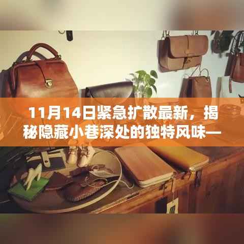 揭秘隐藏小巷深处的神秘小吃店，独特风味紧急曝光