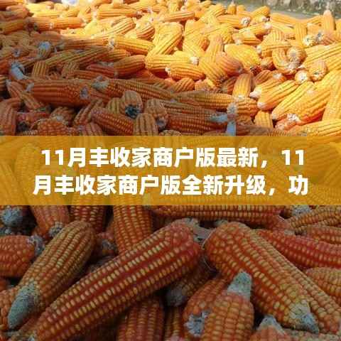 11月丰收家商户版全新升级,功能亮点、操作指南与用户体验深度探讨