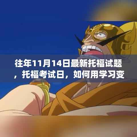 往年托福试题解析与备考策略,铸就自信与成就之光的秘诀!