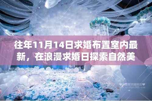 11月14日求婚室内布置新风尚,浪漫之旅启程,探索自然美景与内心平静之路