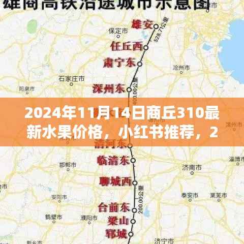 2024年商丘水果市场揭秘,最新水果价格与小红书推荐