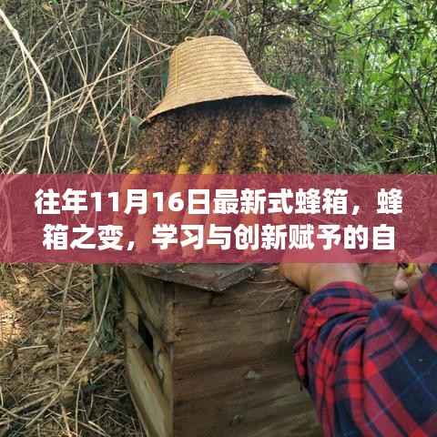 蜂箱之变,学习与创新带来的自信与成就感,最新式蜂箱探索之旅