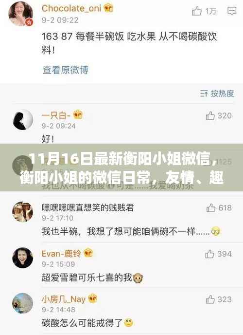 衡阳小姐微信日常,友情、趣事与温暖的十一月时光