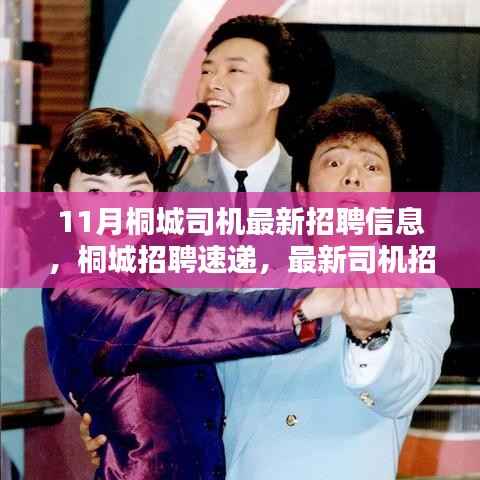 桐城最新司机招聘速递,11月桐城司机招聘信息概览