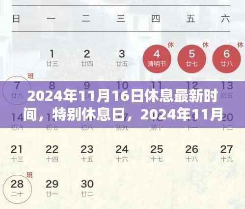 2024年11月特别休息日,暖阳下的欢乐时光