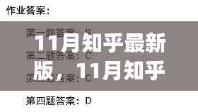 11月知乎最新版,蜕变之月,学习赋予自信与成就感的魔法时刻