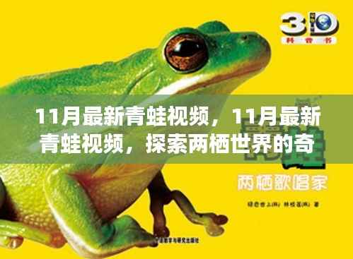 探索两栖世界,最新青蛙视频揭秘奇妙之旅