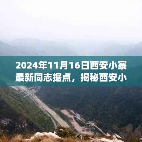 揭秘西安小寨最新同志据点,文化与社交交融的盛会(2024年11月16日)