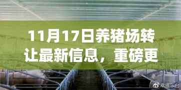 把握养猪场转让新机遇,共创畜牧业新篇章——最新养猪场转让信息重磅更新