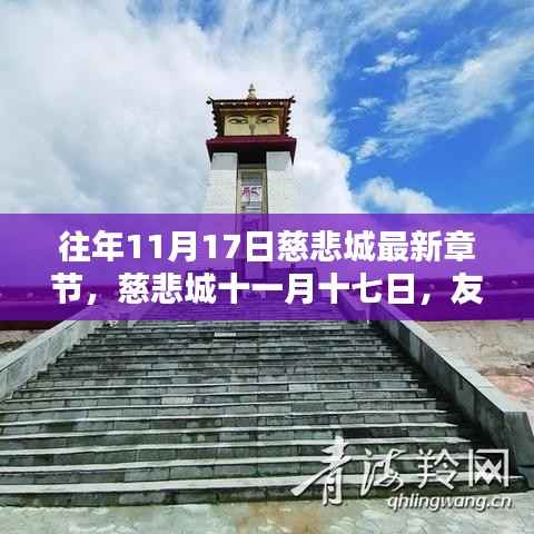 慈悲城十一月十七日,友情与温馨的日常篇章更新发布