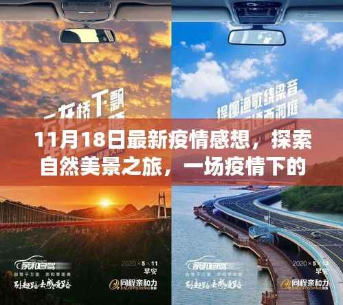 疫情下的心灵洗涤与自我发现之旅,自然美景的探索与最新感悟