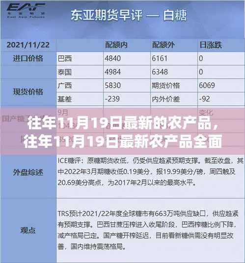 往年11月19日最新农产品深度解析,特性、体验、竞品对比及用户群体全方位探讨