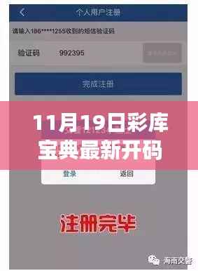 11月19日彩库宝典最新开码及其背后的犯罪风险探讨