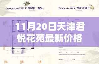 天津君悦花苑最新房价动态揭秘,深度解析与最新价格信息(11月20日)