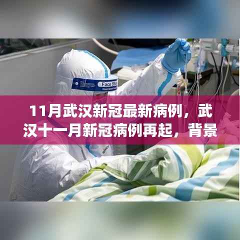 武汉十一月新冠疫情再起,背景、进展与时代印记的病例报告