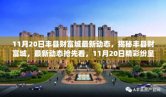 揭秘丰县财富城最新动态,11月20日精彩纷呈,抢先看精彩活动