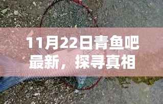 探寻真相,最新热议观点尽在青鱼吧 11月22日
