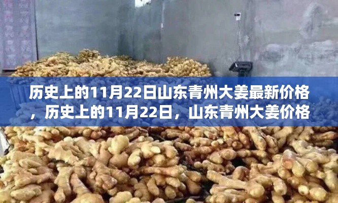 山东青州大姜价格变迁背后的励志故事,历史上的11月22日价格回顾与变迁分析